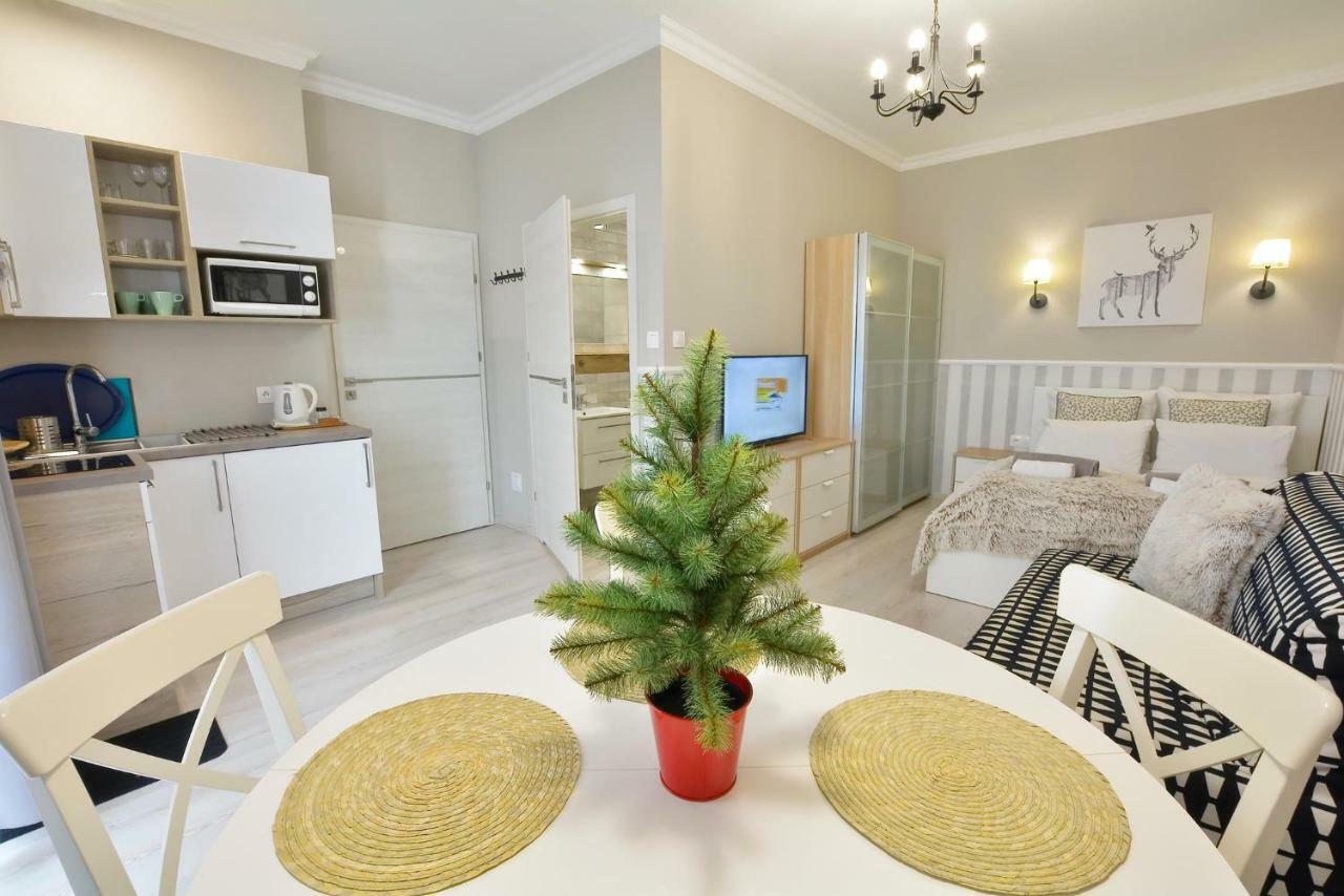 Zlote Modrzewie Apartment Duszniki Zdroj Bagian luar foto